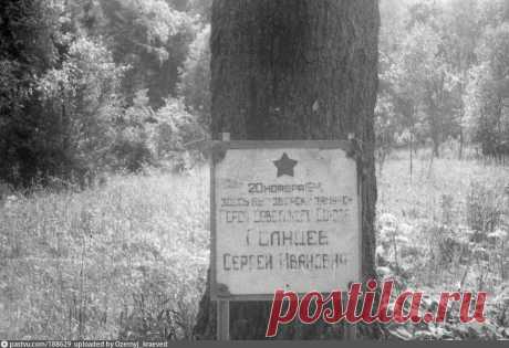 Памятник С. И. Солнцеву между Андреевским и озером Глубоким - Фотографии прошлого