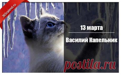На Руси на Василия в дом приносили еловую или сосновую ветку, чтобы исходящий аромат прибавил здоровья домочадцам. Из сосновых почек и веток варили лечебный отвар. Открытки на Василий Капельник!