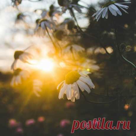 Einen wunderschönen guten Morgen! / Изучение немецкого языка
