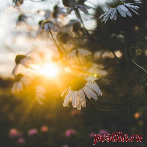 Einen wunderschönen guten Morgen! / Изучение немецкого языка
