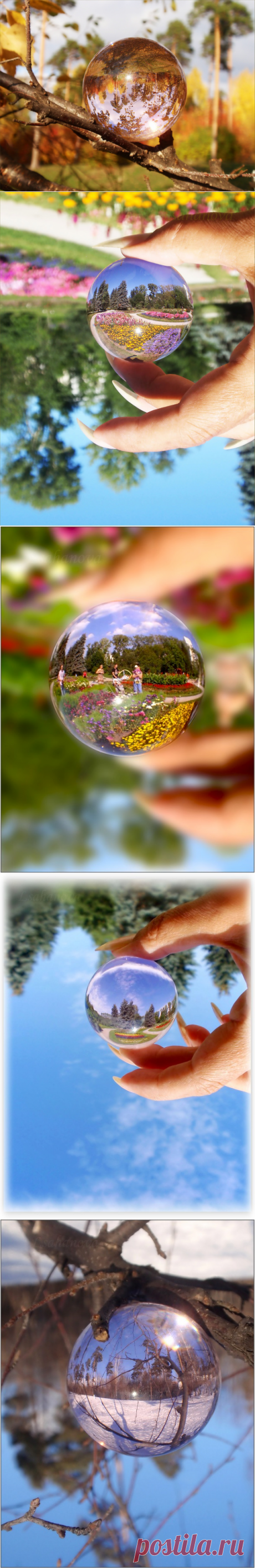 Яндекс.Фотки