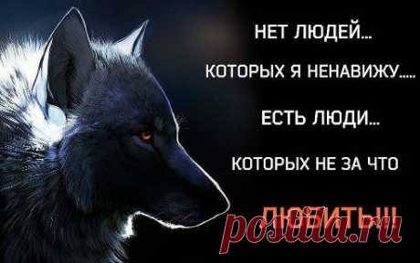 Істінная правда, еслиби ше ето понімав, когда ето случається, а не тогда коли вуже проходіт боль от обід, і боль собственних обід, і когда ето увсведомленіє вже в  сраці нужно, но + ву том, что ти ето пережіл, перестрадал, насладівшись каждой секундой жизні, как плохой, так і хорошей
----- -----
Все в жизни к лучшему....И если от Вас отвернулись люди, жизнь просто избавляет вас от мусора...