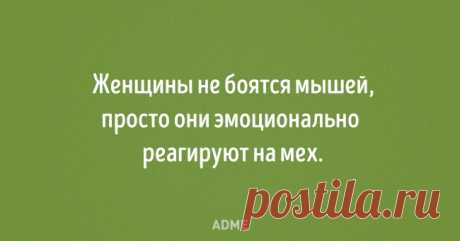 20 открыток от тех, кто за словом в карман не лезет