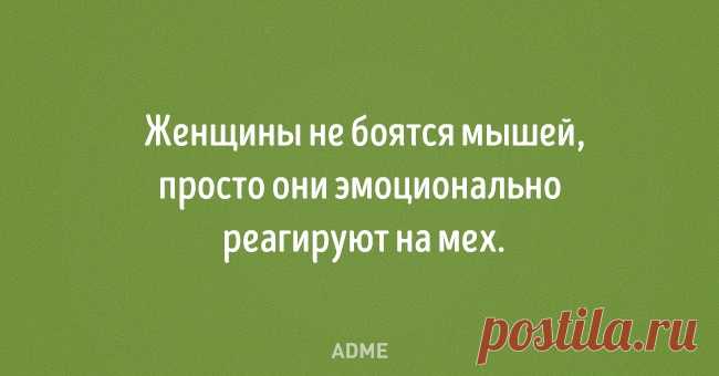 20 открыток от тех, кто за словом в карман не лезет