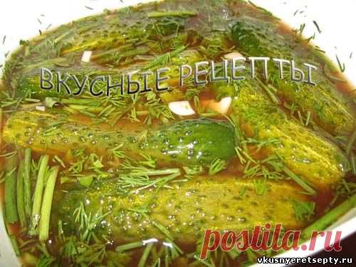 Огурцы в томатном соке - рецепт с фото | Вкусные рецепты