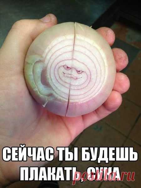 Мой Мир@Mail.Ru