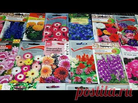 ПОСЕЙТЕ ЭТИ ЦВЕТЫ В ФЕВРАЛЕ они удивят вас своей красотой и неприхотливым цветением
