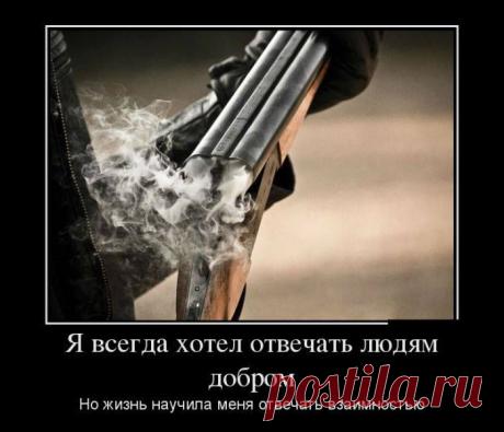 Владислав Бриг - Фотографии Хроники