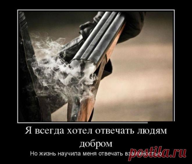 Владислав Бриг - Фотографии Хроники