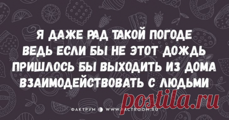 10 смешнейших стишков-пирожков для срочного поднятия настроения! • Фактрум
