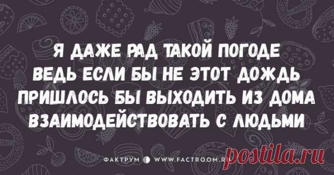10 смешнейших стишков-пирожков для срочного поднятия настроения! • Фактрум