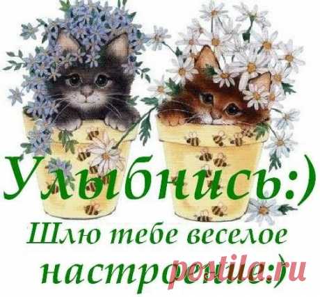 Открытка пожелания за рожден ден