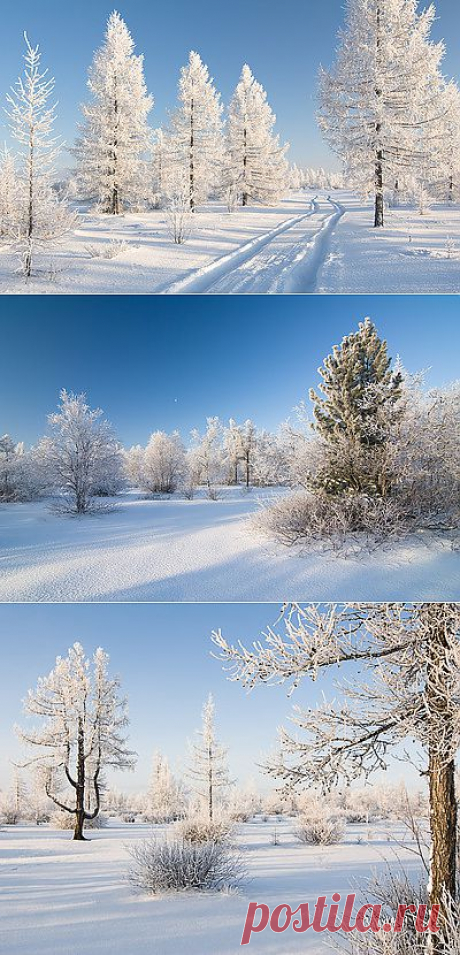 Андрей Снегирёв - Профиль пользователя - фото.сайт - Photosight.ru (фото на 10 страницах)