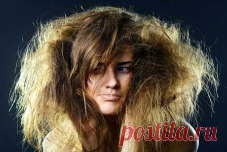 Оздоровление волос и советы по уходу