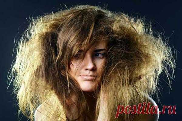 Оздоровление волос и советы по уходу