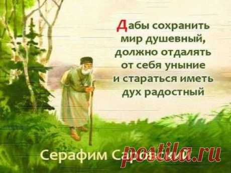 (5) Душевно - Фото