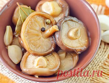 Рецепт маринованных груздей на зиму - Грибы на зиму . 1001 ЕДА вкусные рецепты с фото!