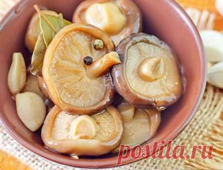 Рецепт маринованных груздей на зиму - Грибы на зиму . 1001 ЕДА вкусные рецепты с фото!