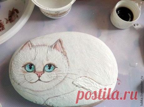 ​Котики на камушках