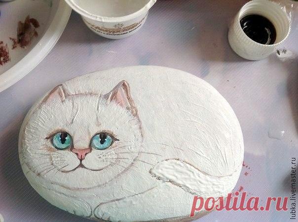 ​Котики на камушках