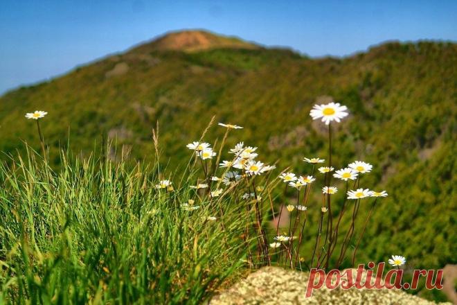 (35) Одноклассники