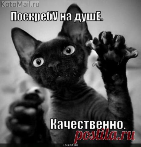 Поскребу на душе.