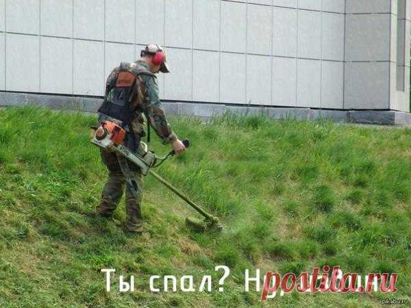 Работаю только по утрам