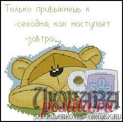 Мишка Fizzy Moon " Только привыкнешь к сегодня... "