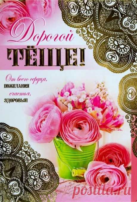 Моя теща золотая Никогда не подведет: Она вовремя накормит И сто грамм всегда нальет, Моя теща сто решений Принимает на ходу, Что бы в жизни не случилось - Точно с ней не пропаду!