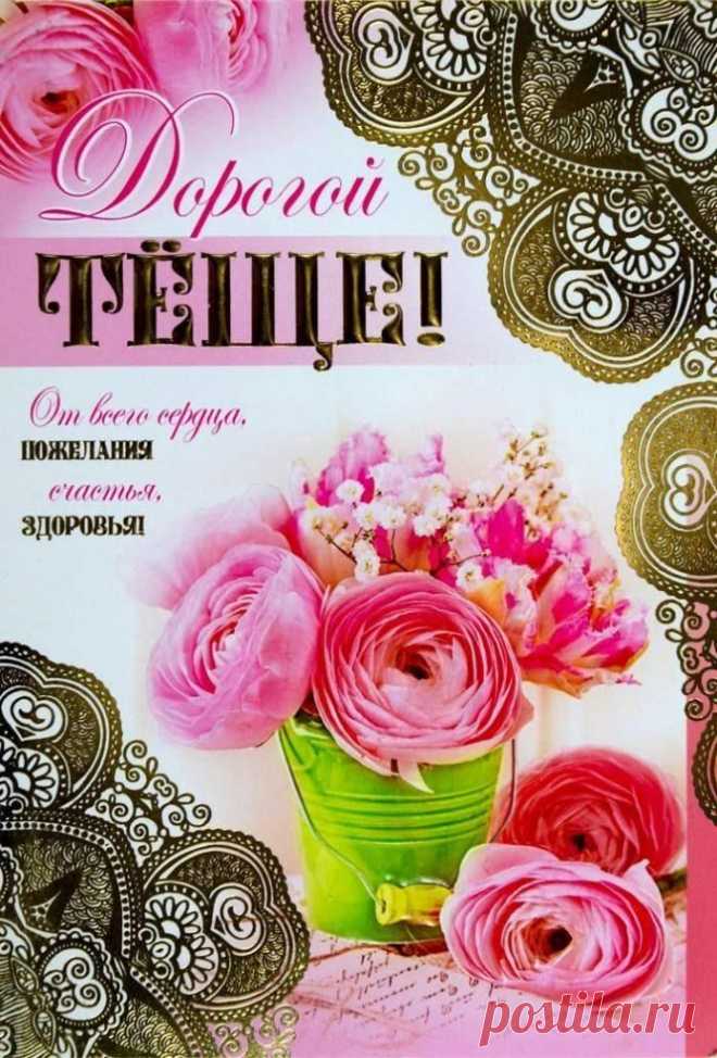 Моя теща золотая Никогда не подведет: Она вовремя накормит И сто грамм всегда нальет, Моя теща сто решений Принимает на ходу, Что бы в жизни не случилось - Точно с ней не пропаду!