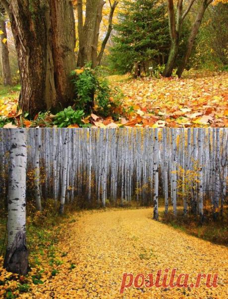 Народные приметы на сентябрь