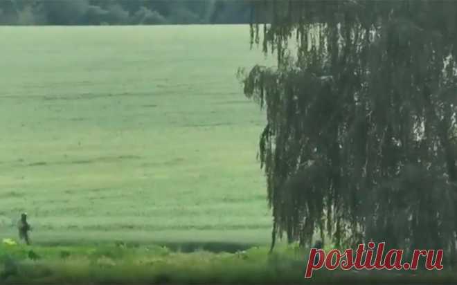 Росгвардия рассказала о попытке теракта в Рязанской области. Росгвардия пресекла теракт с применением БПЛА на военном объекте в Рязанской области, сообщили в ведомстве.
