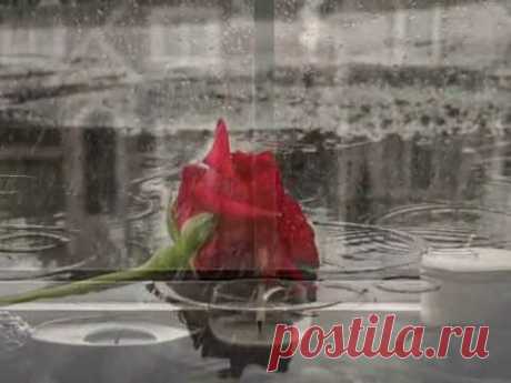 ♥Эдуард Асадов ★  Моя любовь...*´¨`*•.¸¸.♫♥