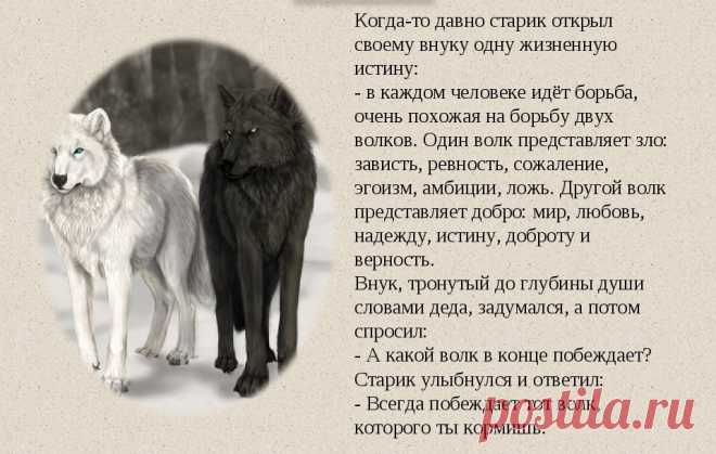 О ЗАВИСТИ или ПУСТЬ У СОСЕДА КОРОВА СДОХНЕТ - Гипноз для жизни