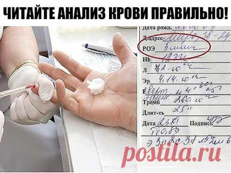 (80) Одноклассники