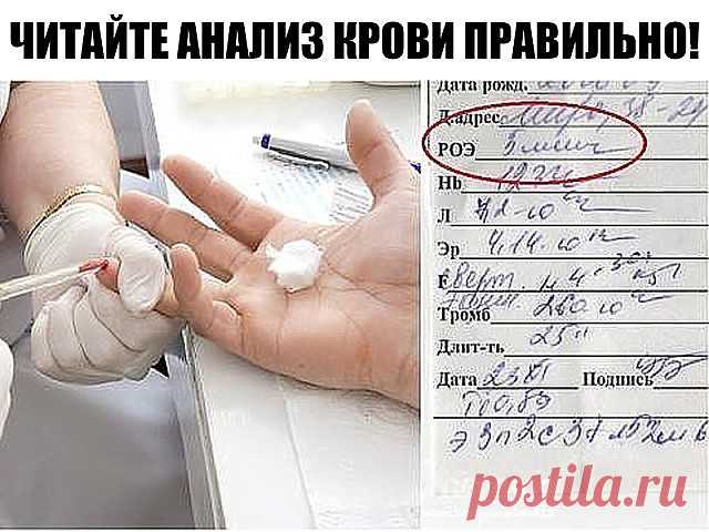 (80) Одноклассники