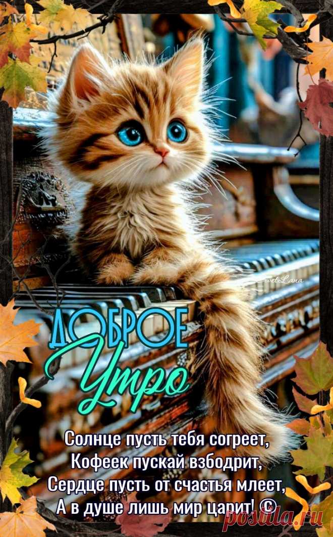 С добрым утром