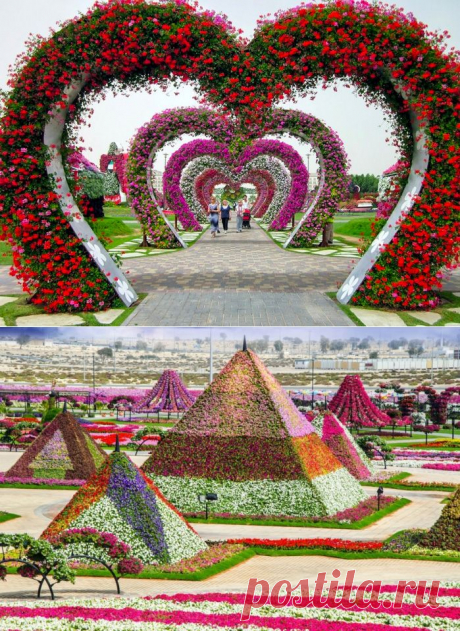 Да это же 8-е чудо света! Сад невероятной красоты в Дубае – Фитнес для мозга