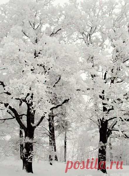 Интересные новости