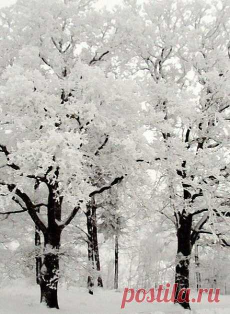 Интересные новости