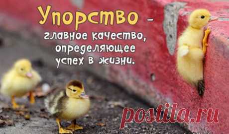Мы не можем выбирать время, в которое хотели бы родиться. Но мы можем выбрать жизнь, которую собираемся прожить.Либо прожить серой мышкой, а бы как. Либо  прожить яркую и достойную уважения и подражания!!! Но сегодняшний информационный век, требует от нас  объективных знаний и определённых навыков. Разобраться и преуспеть в этом вам поможет
БЕСПЛАТНЫЙ КУРС - ЧТО МЕШАЕТ СТАТЬ УСПЕШНЫМ ДИСТРИБЬЮТОРОМ!