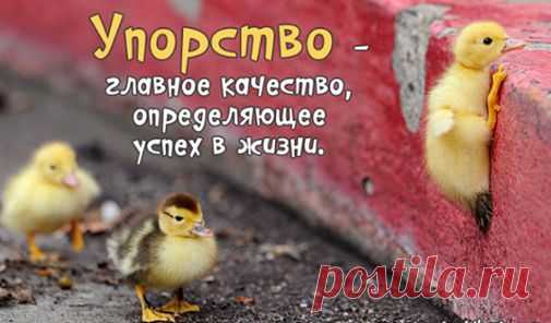 Мы не можем выбирать время, в которое хотели бы родиться. Но мы можем выбрать жизнь, которую собираемся прожить.Либо прожить серой мышкой, а бы как. Либо  прожить яркую и достойную уважения и подражания!!! Но сегодняшний информационный век, требует от нас  объективных знаний и определённых навыков. Разобраться и преуспеть в этом вам поможет
БЕСПЛАТНЫЙ КУРС - ЧТО МЕШАЕТ СТАТЬ УСПЕШНЫМ ДИСТРИБЬЮТОРОМ!