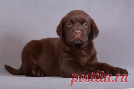 Kendystyle Henessy & Жасмин Шелли Бест