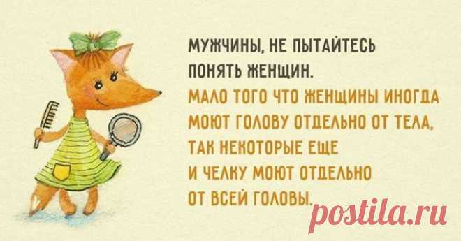 Смешные фразы из жизни женщин: Вы будете смеяться