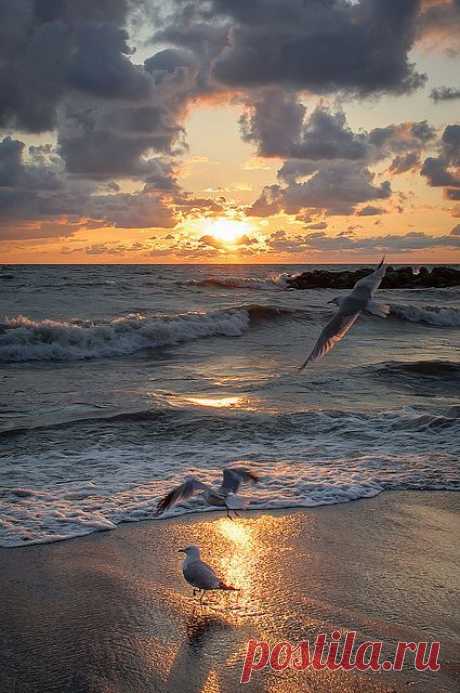 Sunset at the beach|Pinterest