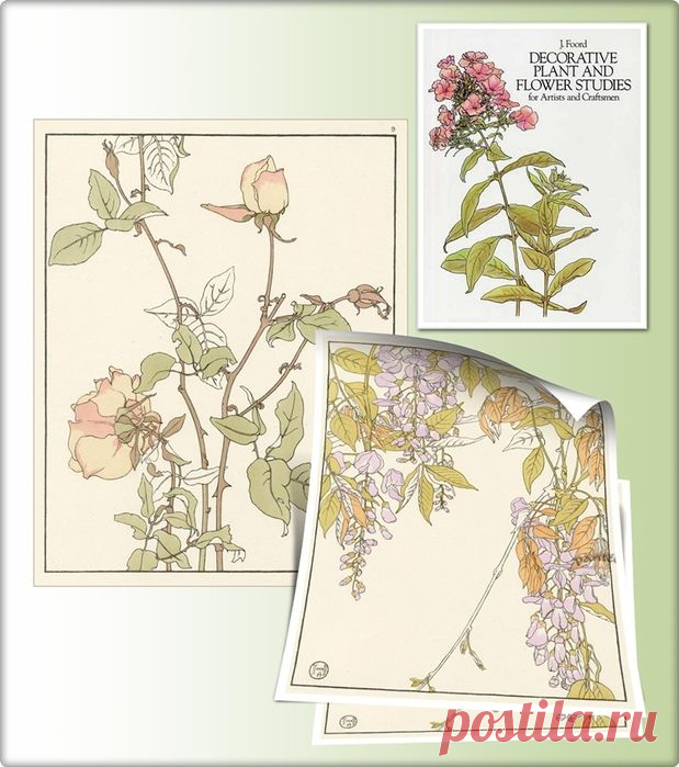 Botanicals. Jeannie Foord