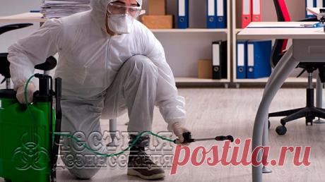 На данный момент профессиональная дезинсекция и дезинфекция является основной специализацией современной компания «Честная дезинсекция», которая уже несколько лет осуществляет собственную деятельность в Санкт-Петербурге. Профессиональные сотрудники этой службы имеют невероятный опыт в области истребления насекомых и помогают собственным клиентам навсегда позабыть о непрошеных вредителях.