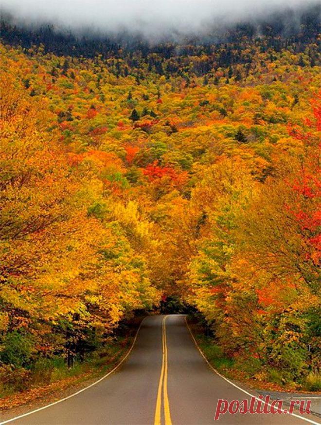 (59) Одноклассники