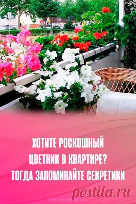 Хотите роскошный цветник в квартире? Тогда запоминайте секретики