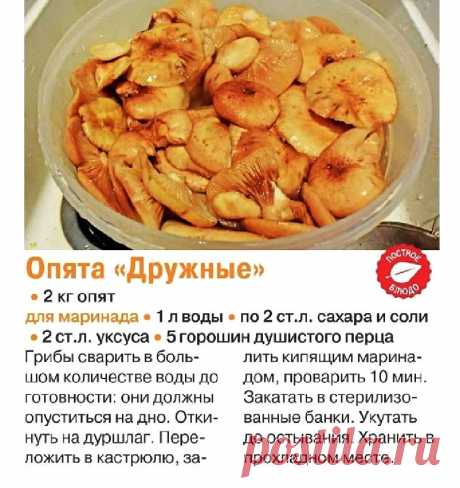 Опята &quot;Дружные&quot; маринованные
